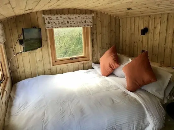 Highland Bear Lodge & Luxury Bear Huts - İç Mekan