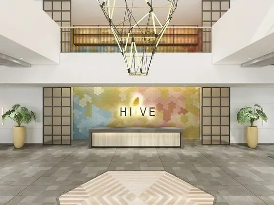 HIIVE BINH DUONG