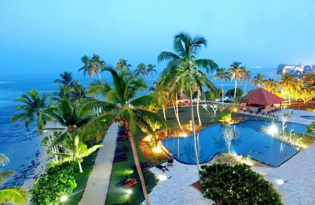 Hikka Tranz by Cinnamon