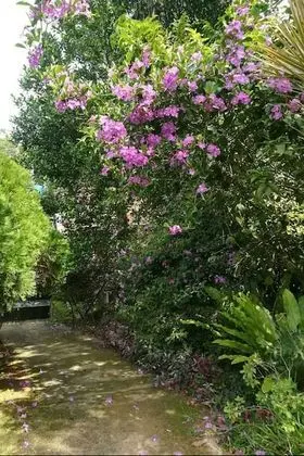HikkaJayaSri Villa Peacock - Misafir Tesisleri ve Hizmetleri