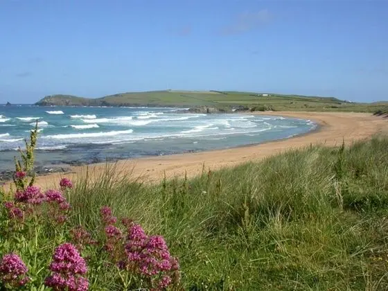 Hilary St Merryn in St Merryn - Oda