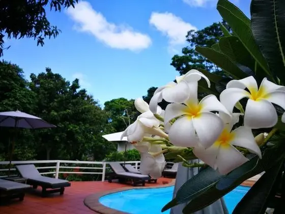 On The Hill Karon Resort - Havuz