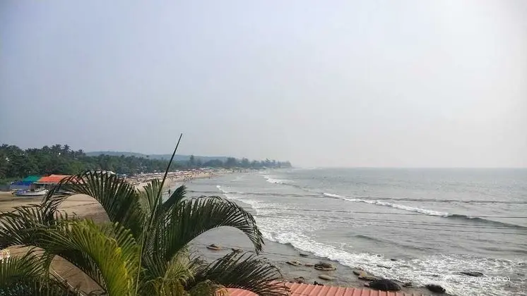 Hill Top Arambol