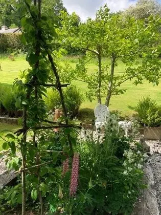Hill View B&B - Dış Mekanlar