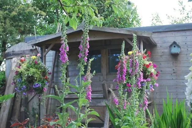 Hillcroft Luxury Bed & Breakfast - Oda Manzaraları