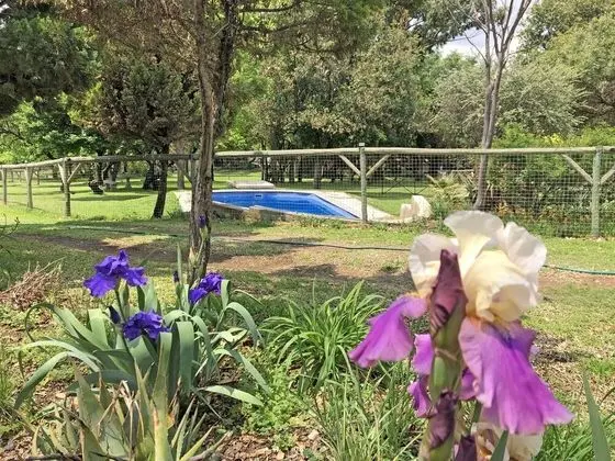 Hills and Dales Accommodation - Havuz