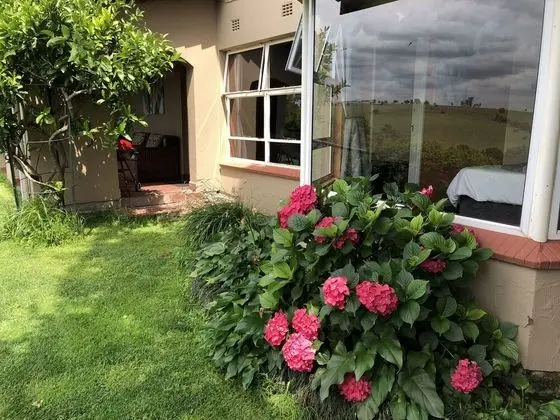Hills and Dales Accommodation - Oda