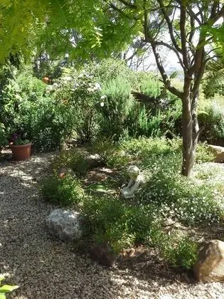 Hillside Bed & Breakfast - Dış Mekan