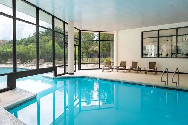 Hilton Alexandria Mark Center - Havuz
