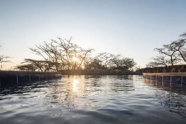 The Hilton Bush Lodge - Havuz