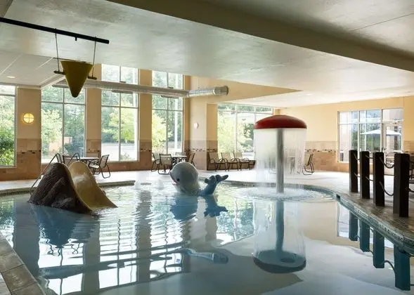Hilton Garden Inn Ann Arbor, MI - Havuz