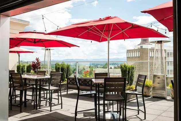 Hilton Garden Inn Asheville Downtown, NC - Dış Mekan