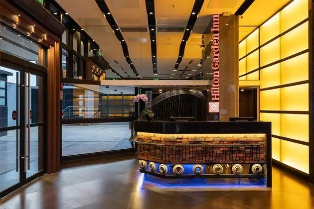 Hilton Garden Inn Asuncion Aviadores del Chaco - Lobi