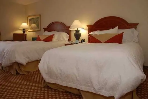 Hilton Garden Inn Austin/Round Rock