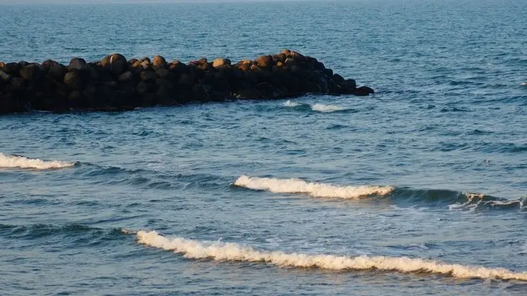 Hilton Garden Inn Boca del Rio Veracruz - Plaj