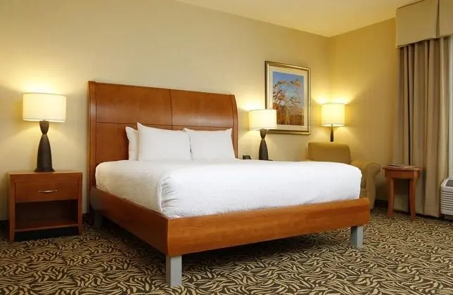 Hilton Garden Inn Cedar Falls