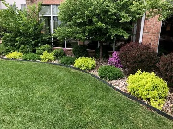 Hilton Garden Inn Columbia, MO - Dış Mekan