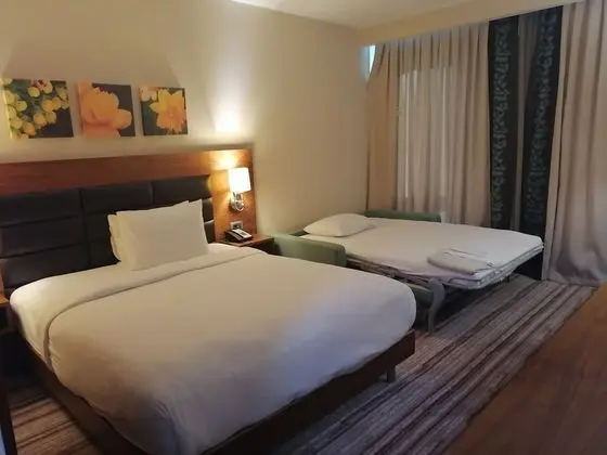 Hilton Garden Inn Erzincan - Oda