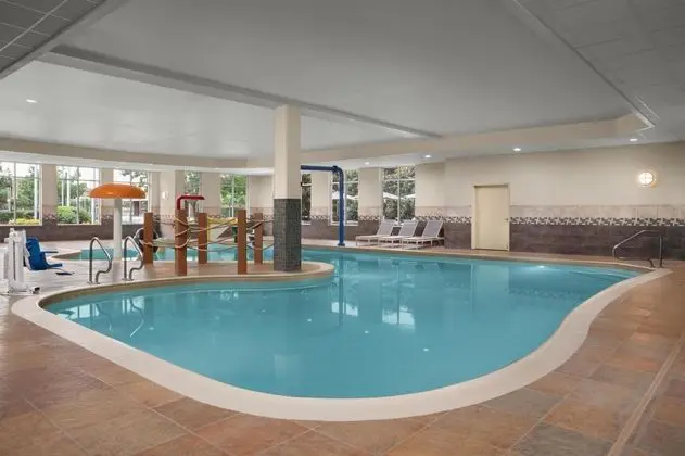 Hilton Garden Inn Fort Worth Medical Center - Havuz