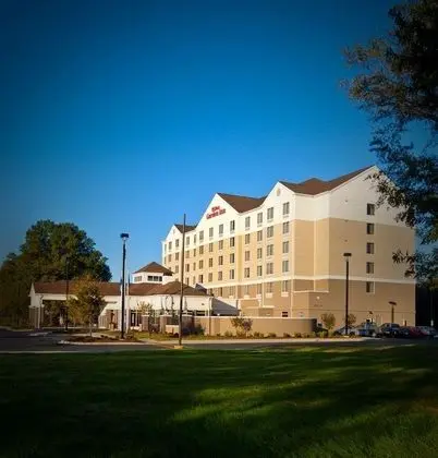 Hilton Garden Inn Greenville 