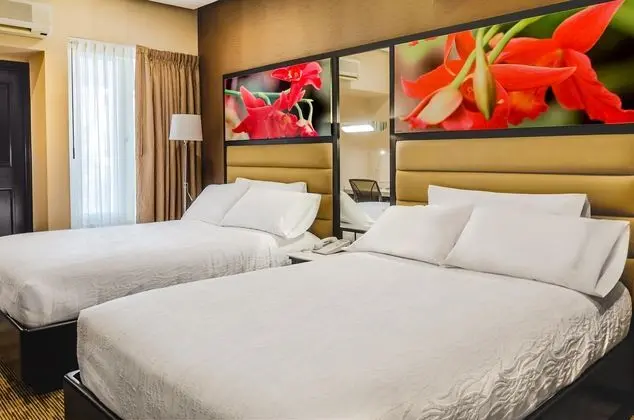 Hilton Garden Inn Guatemala City - Oda