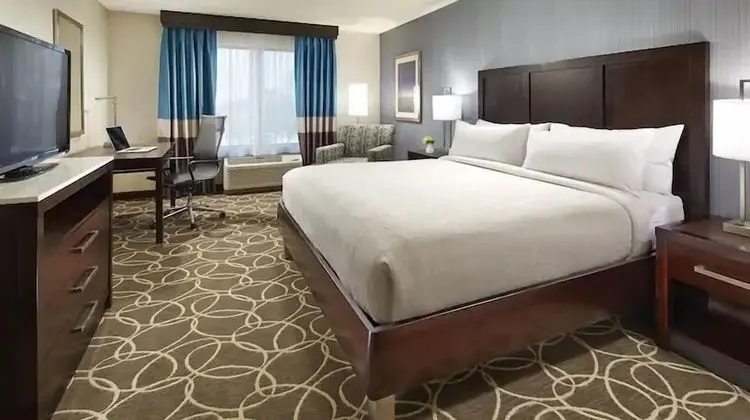 Hilton Garden Inn Harlingen Convention Center - Oda