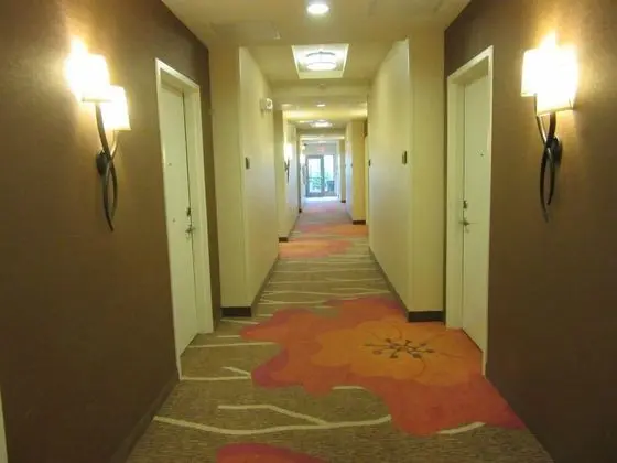 Hilton Garden Inn Memphis Wolfchase Galleria, TN