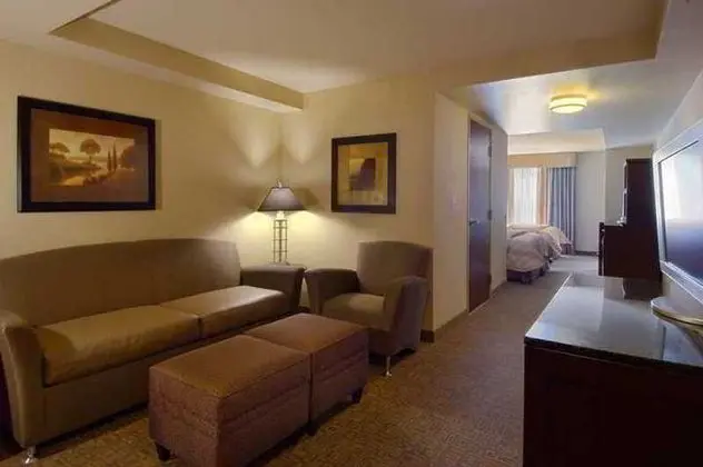 Hilton Garden Inn Rochester Downtown 