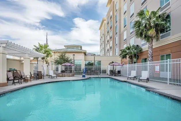 Hilton Garden Inn San Antonio/Rim Pass Drive, TX - Havuz