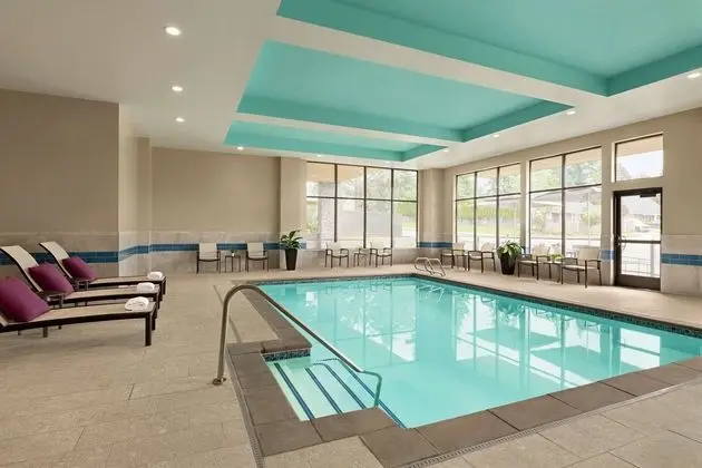 Hilton Garden Inn Seattle Airport - Havuz