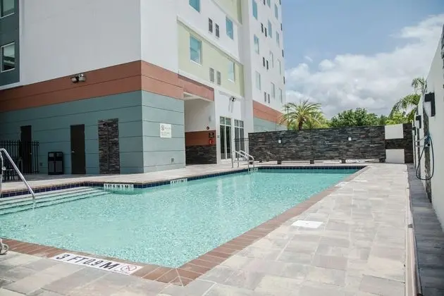 Hilton Garden Inn Tampa Suncoast Parkway, FL - Havuz