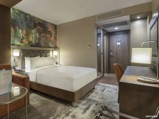 Hilton Garden Inn Yalova - Oda