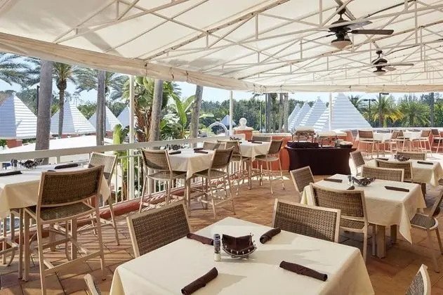 Hilton Grand Vacations Club at Seaworld Orlando