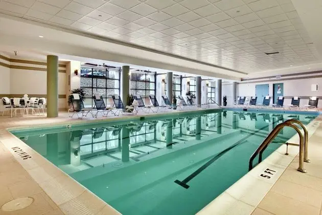 Hilton McLean Tysons Corner - Havuz