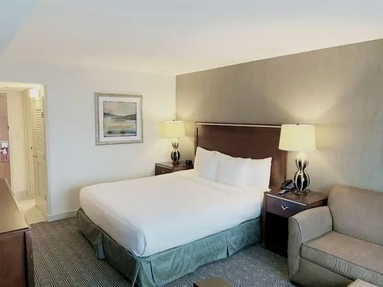 Hilton New York JFK Airport - Oda