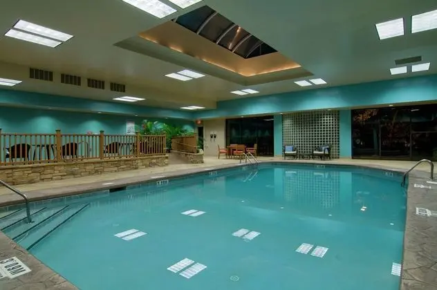 Hilton North Raleigh/Midtown - Havuz