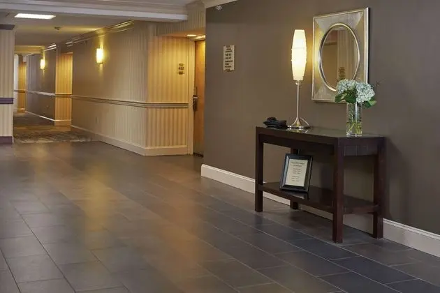 Hilton North Raleigh/Midtown - Lobi