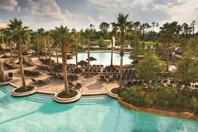 Hilton Orlando Bonnet Creek Disney World - Havuz