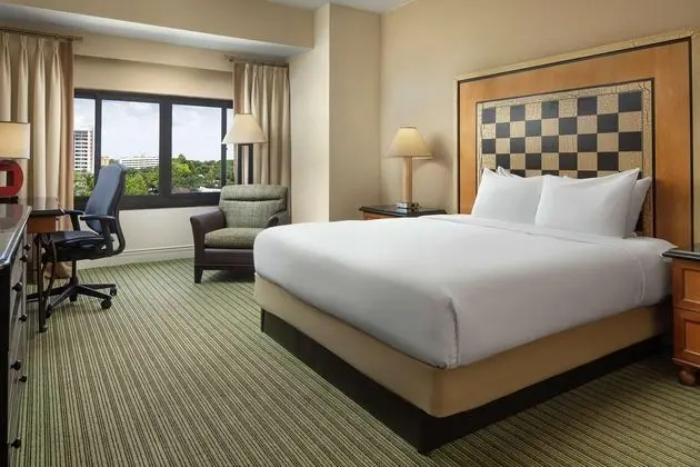 Hilton Orlando Lake Buena Vista - Oda