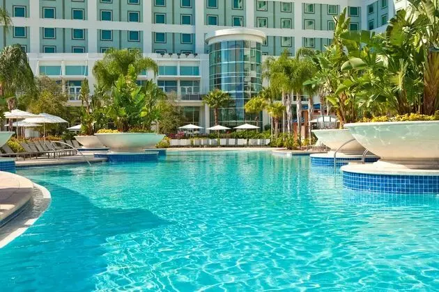 Hilton Orlando - Havuz