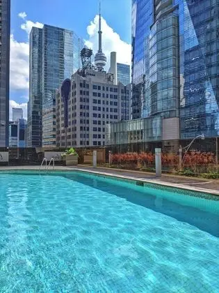 Hilton Toronto - Havuz