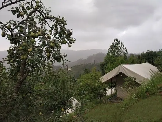 Himview Camp
