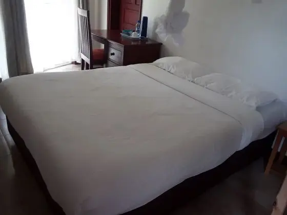 Hotel Hippo Buck