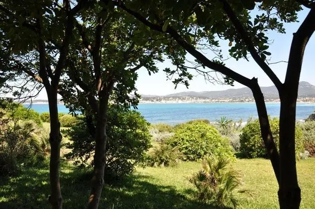 Villa Hippocampe - Genel