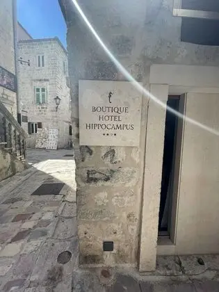 Hotel Hippocampus - Dış Mekan