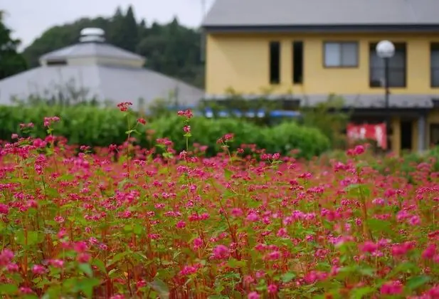 Hiraizumi Hot Spring Ryokan Soba'an Shizukatei - Dış Mekan