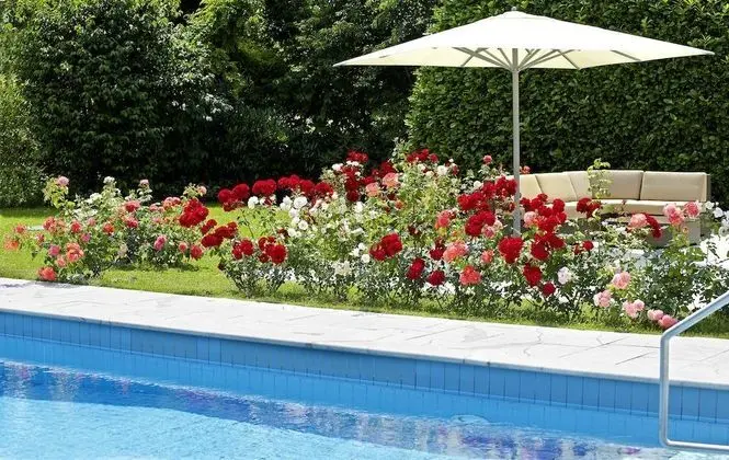 Hotel Hirschen In Freiburg-Lehen - Havuz