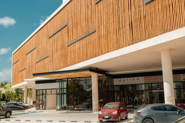 Hive Cancun