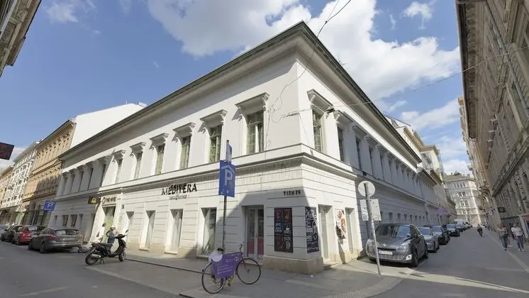 The Hive Party Hostel - Dış Mekan