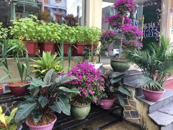 Hoang Ngoc Hotel - Dış Mekan